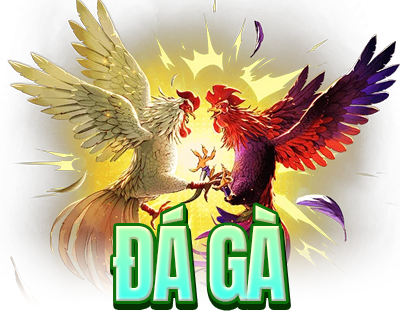 đá gà flaticon