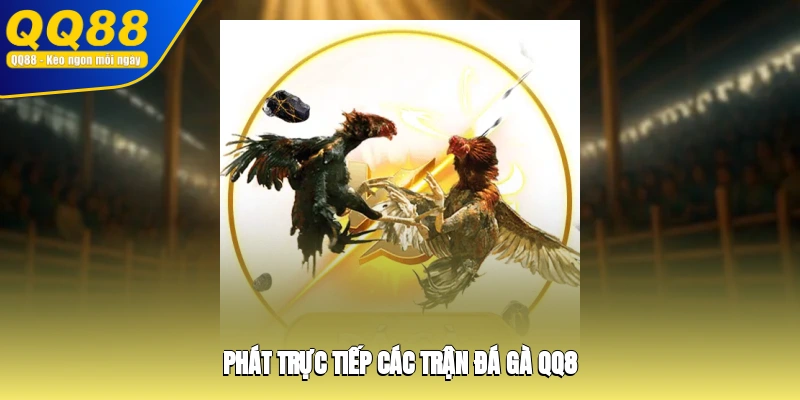 Phát trực tiếp các trận đá gà QQ8