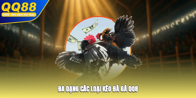 Đa dạng các loại kèo đá gà QQ8