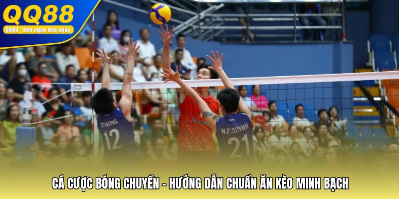 Cá Cược Bóng Chuyền - Hướng Dẫn Chuẩn Ăn Kèo Minh Bạch