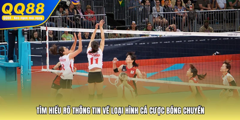 Tìm hiểu rõ thông tin về loại hình cá cược bóng chuyền