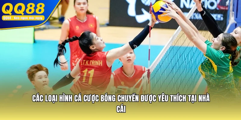 Các loại hình cá cược bóng chuyền được yêu thích tại nhà cái