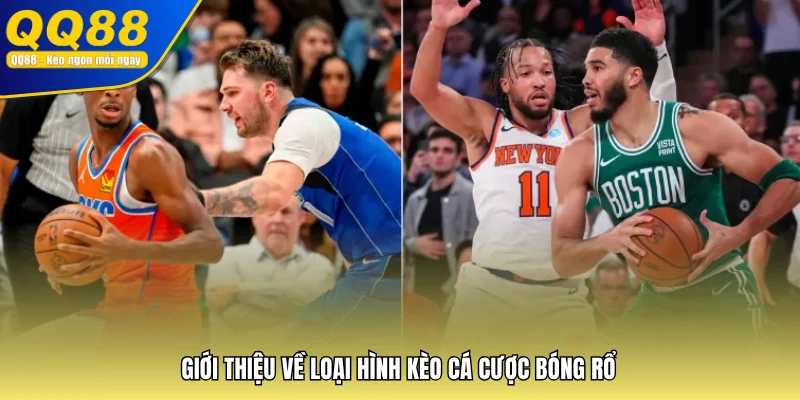 Giới thiệu về loại hình kèo cá cược bóng rổ 