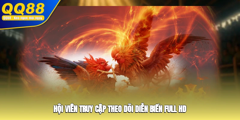 Hội viên truy cập theo dõi diễn biến full HD