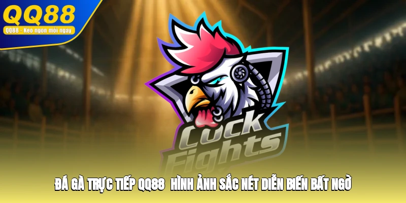 Đá Gà Trực Tiếp QQ88 - Hình Ảnh Sắc Nét, Diễn Biến Bất Ngờ