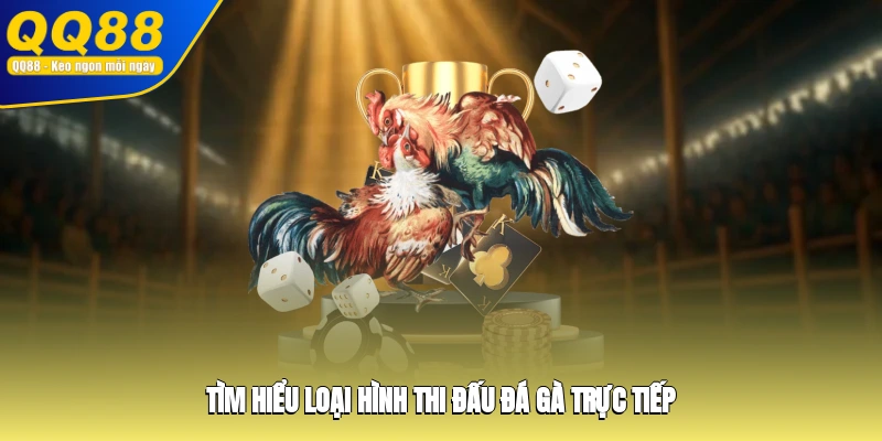 Tìm hiểu loại hình thi đấu đá gà trực tiếp