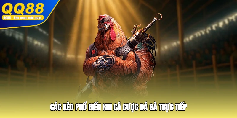 Các kèo phổ biến khi cá cược đá gà trực tiếp