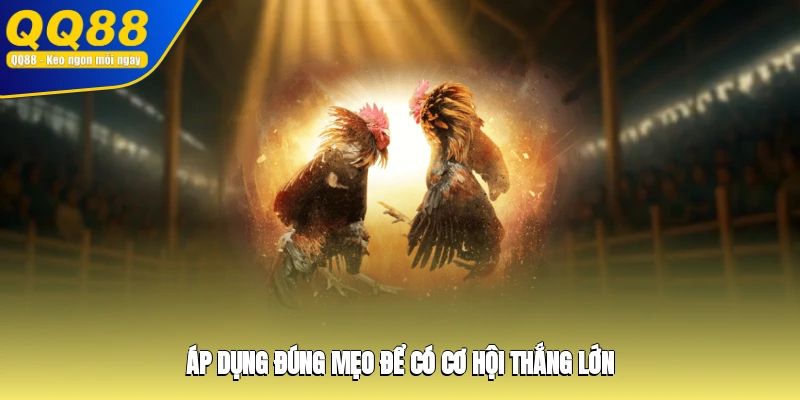 Áp dụng đúng mẹo để có cơ hội thắng lớn