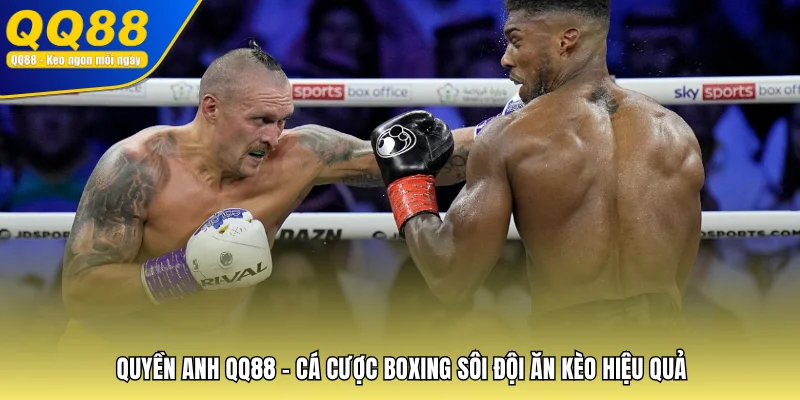 Quyền Anh QQ88 - Cá Cược Boxing Sôi Đội Ăn Kèo Hiệu Quả