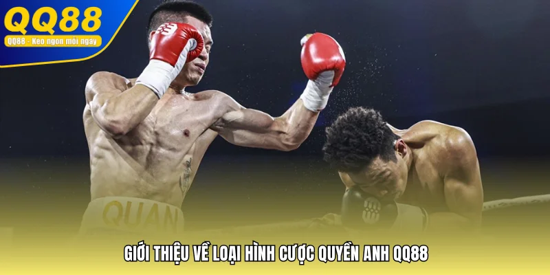 Giới thiệu về loại hình cược Quyền Anh QQ88