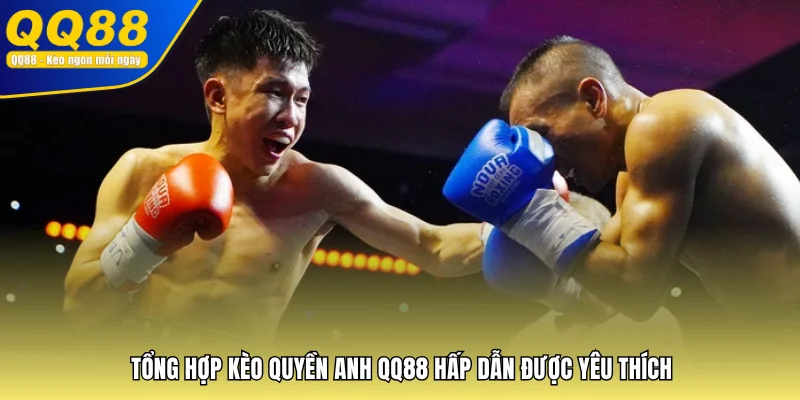 Tổng hợp kèo Quyền Anh QQ88 hấp dẫn được yêu thích