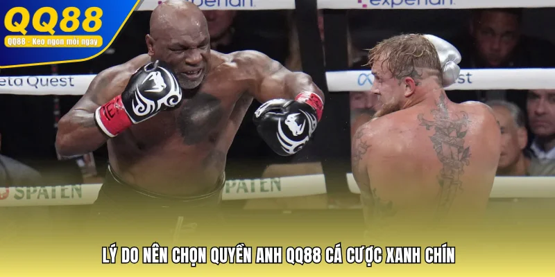 Lý do nên chọn Quyền Anh QQ88 cá cược xanh chín