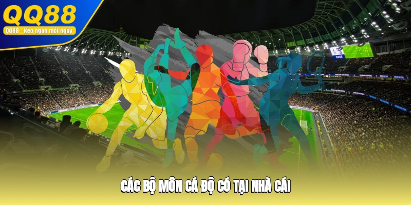 Các bộ môn cá độ có tại nhà cái